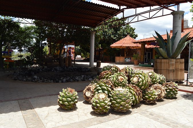 Oaxaca : Boil the water, Mitla and Cocoa (Entries included). - Relaxing and Swimming at Hierve el Agua