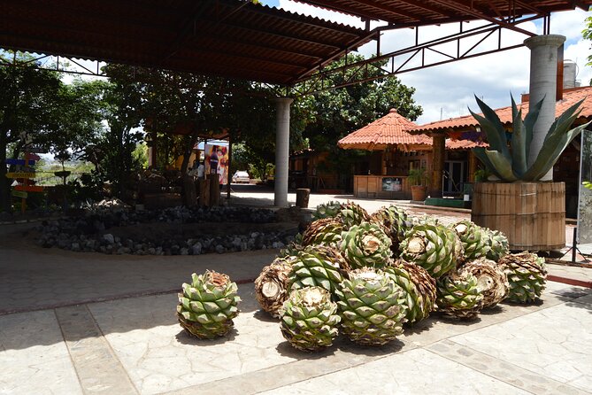Oaxaca : Boil the water, Mitla and Cocoa (Entries included). - Transportation, Pacing, and Physical Demands