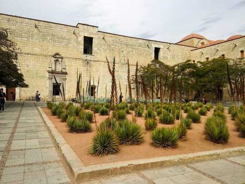 Oaxaca : City Tour - Discovering Market November 20