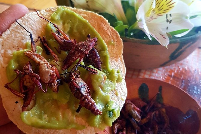 Oaxaca Conmigo Private Tours - Discovering Mitla: The Architectural and Cultural Treasure