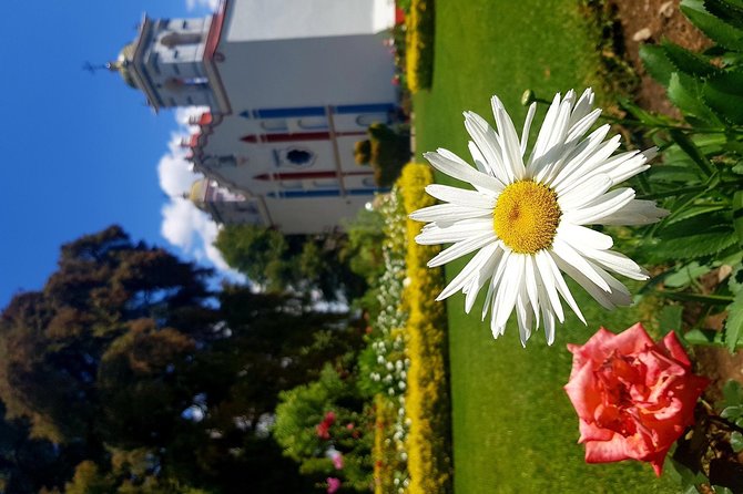 Oaxaca Conmigo Private Tours - Unique Cultural Experiences in Santa Catarina Minas and Santiago Matatlan