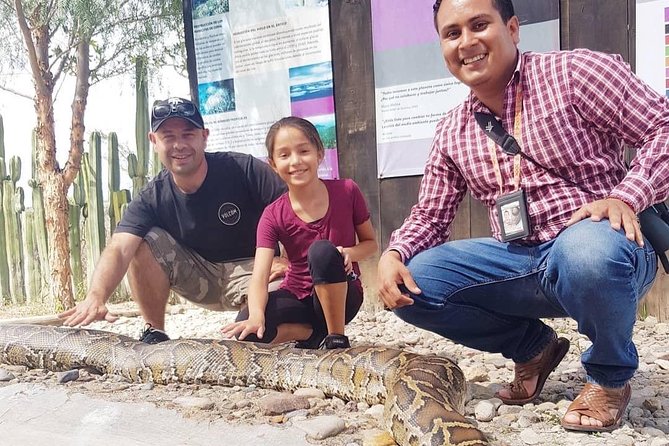 Oaxaca Conmigo Private Tours - Practicalities, Pricing, and Accessibility