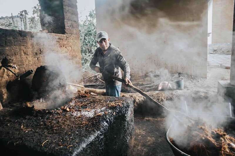 Oaxaca: Crafts & Cuisine Culture Tour - Who Will Appreciate This Oaxaca Tour?