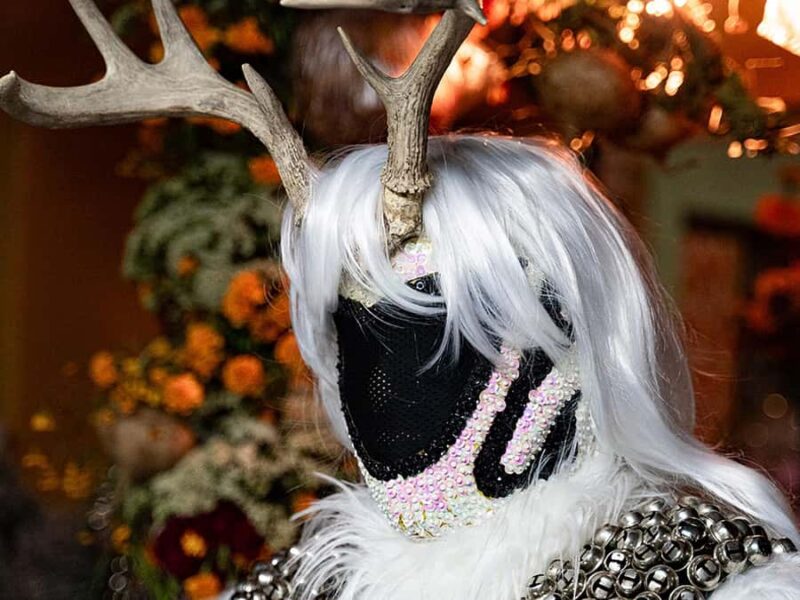 Oaxaca: Day of the Dead Tour - Limitations and Considerations