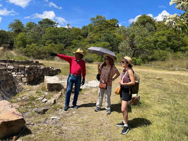Oaxaca de Juarez: Monte Alban Half-Day Tour - The Majestic Monte Albán Archaeological Site