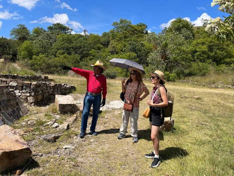 Oaxaca de Juarez: Monte Alban Half-Day Tour - Price and Value for Money