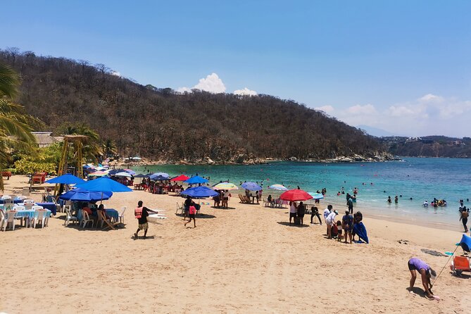 Oaxaca de Juarez to Huatulco - Private Transfer - Who Should Consider This Transfer Service?