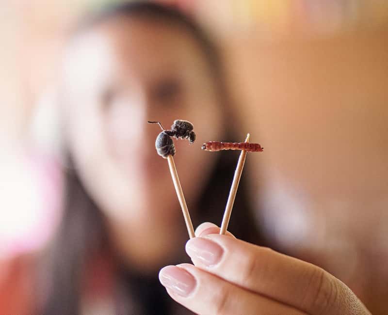 Oaxaca de Juarez: Traditional Oaxacan Cooking Class - Village Setting and Scenic Surroundings