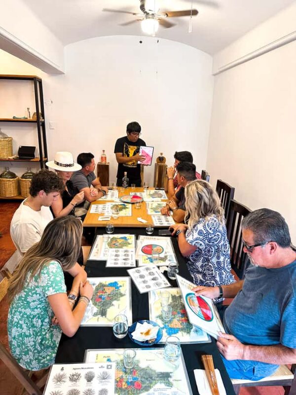 Oaxaca: Discover Mezcal History and Culture with a Tasting - Learning About Mezcal’s Rich History and Origins