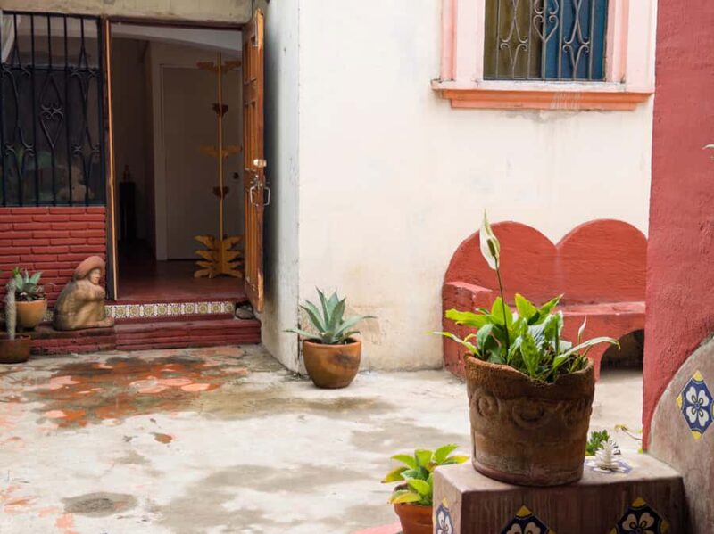 Oaxaca: Discover Mezcal History and Culture with a Tasting - Final Thoughts on the Oaxaca Mezcal Tasting Experience