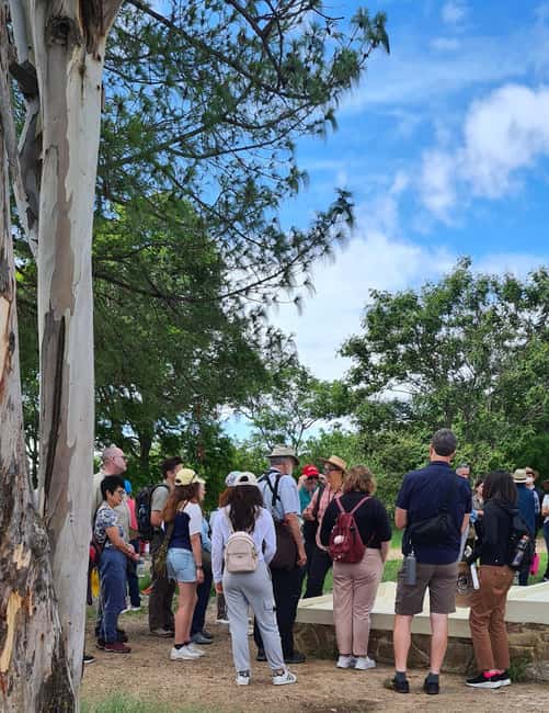Oaxaca: Discover Monte Albán and the markets of Oaxaca - Why Choose This Tour for Oaxaca Visitors