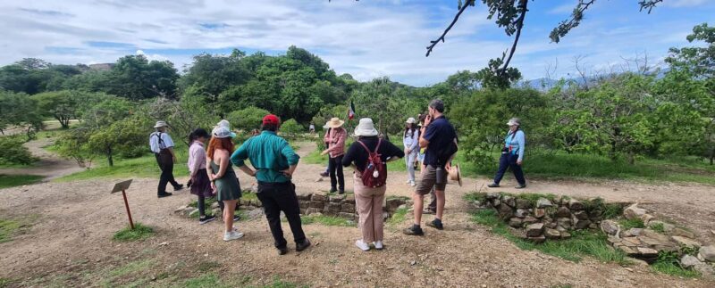 Oaxaca: Discover Monte Albán and the markets of Oaxaca - Oaxaca: A Cultural Treasure Trove in One Tour