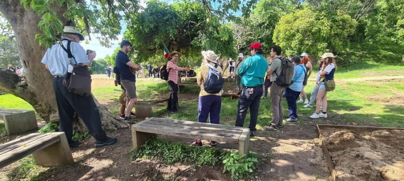 Oaxaca: Discover the secrets of Monte Albán - Discover Monte Albán: Who Will Love This Tour