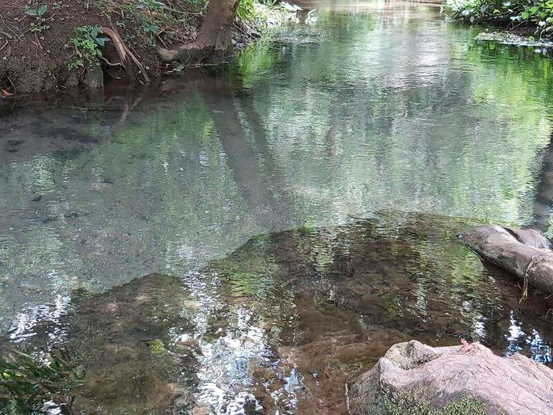 Oaxaca: Ejutla Canyon 1 Day Bike Tour - What’s Included: Complete Support for a Comfortable Day