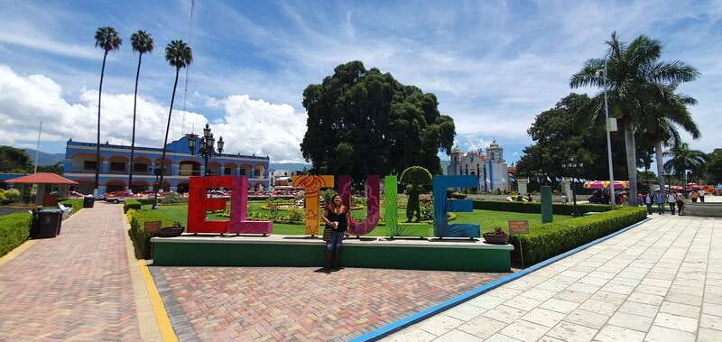 Oaxaca: El Tule, Mitla, and Hierve el Agua Tour with Mezcal - Visiting the Majestic El Tule Tree in Oaxaca