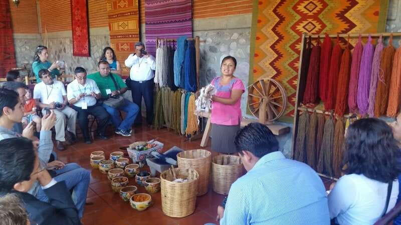 Oaxaca: El Tule, Mitla, and Hierve el Agua Tour with Mezcal - Marveling at Hierve el Aguas Petrified Waterfalls