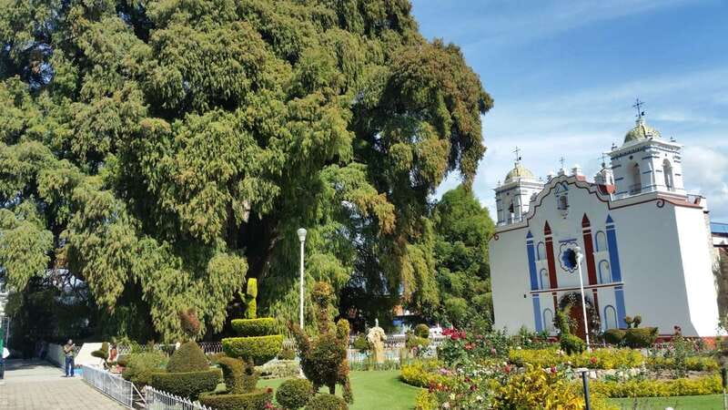 Oaxaca: El Tule, Mitla, and Hierve el Agua Tour with Mezcal - Logistics and Group Size Insights