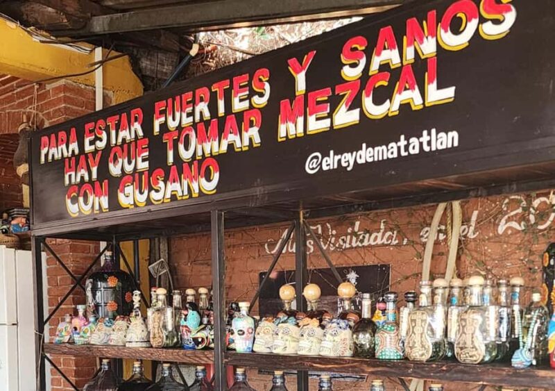 Oaxaca: El Tule, Mitla, and Hierve el Agua Tour with Mezcal - Physical Requirements and Accessibility Considerations