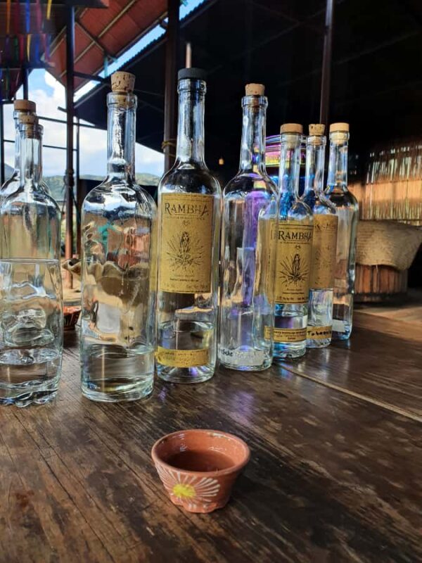 Oaxaca: Empowering Women Private Tour - Celebrating Women’s Success in Woodcraft with Master Monica