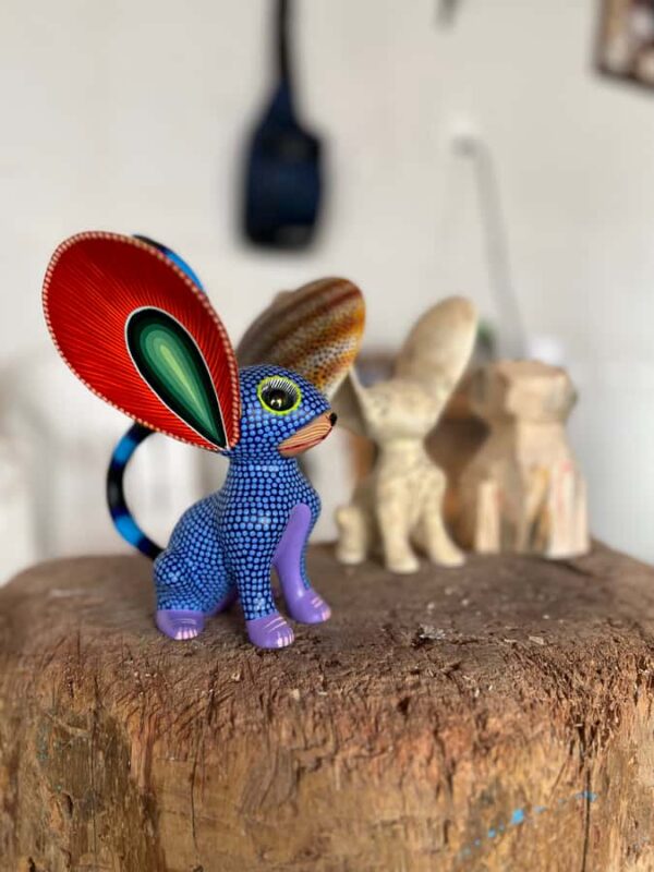 Oaxaca: Empowering Women Private Tour - Sunset Mezcal Tasting with Rosario in a Small Town