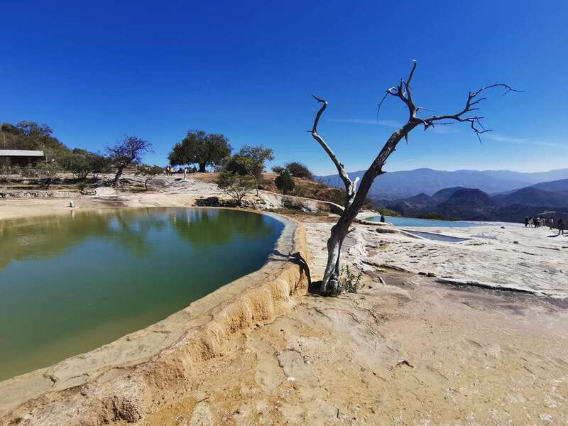 Oaxaca: Full Day Guided Tour on the Hierve el Agua Route - Sampling Oaxacas Famous Mezcal