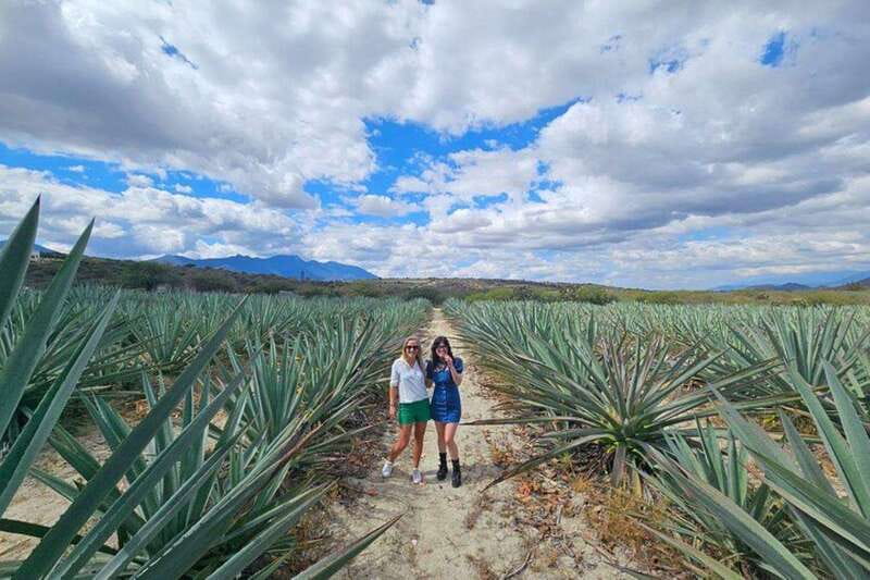 Oaxaca: Hierve el Agua, Mezcal Distillery, and Lunch Tour - Explore Oaxacas Natural Wonder and Cultural Treasures in One Day