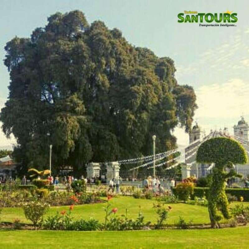 Oaxaca: Hierve el Agua Tour - Comparing This Tour to Other Oaxaca Experiences