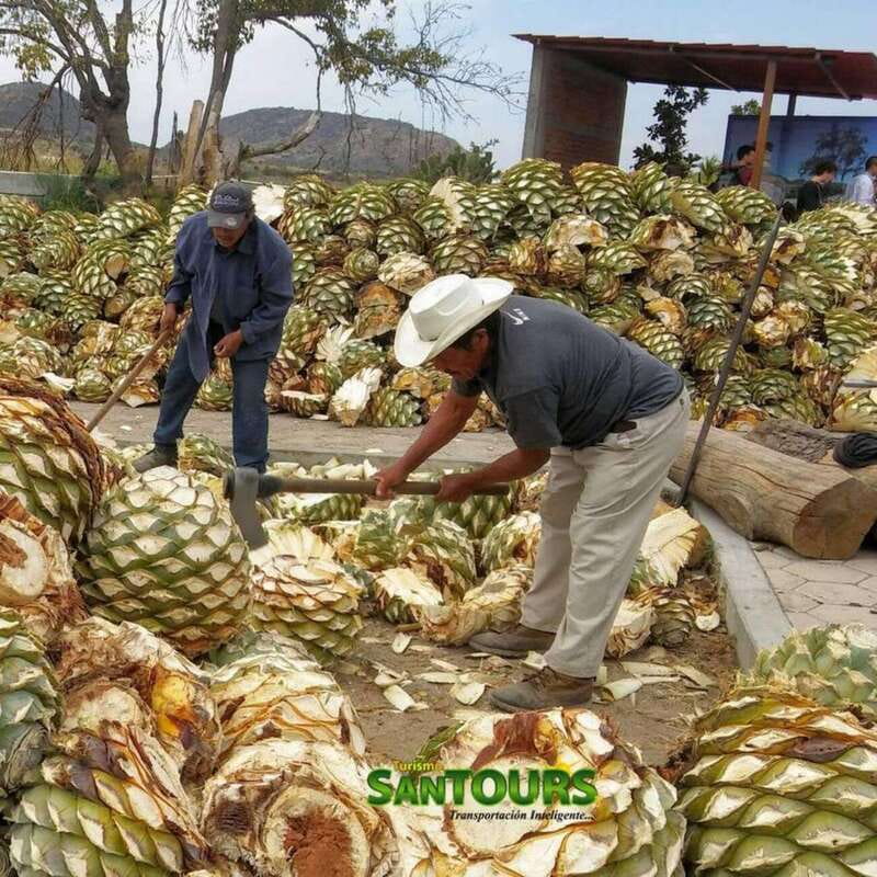 Oaxaca: Hierve el Agua Tour - Final Thoughts on the Oaxaca: Hierve el Agua Tour