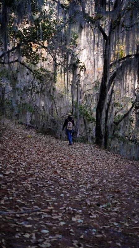 Oaxaca: Hiking Tour In the Sierra Norte With Lunch - From Oaxaca City to Latuvi: Starting the Adventure