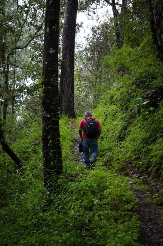 Oaxaca: Hiking Tour In the Sierra Norte With Lunch - Who Will Appreciate This Tour Most