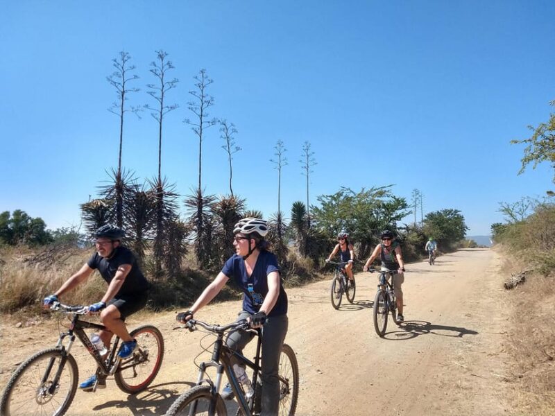 Oaxaca: La Culebra - Hierve el Agua 1 Day Tour. - Climbing to Hierve el Agua’s Natural Wonders