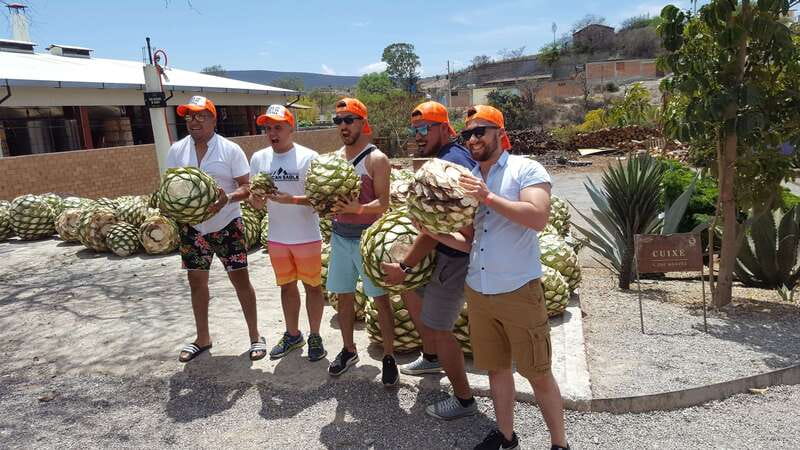 Oaxaca: Mezcal Adventure - Discover Oaxaca’s Authentic Mezcal Culture in a 7-Hour Tour