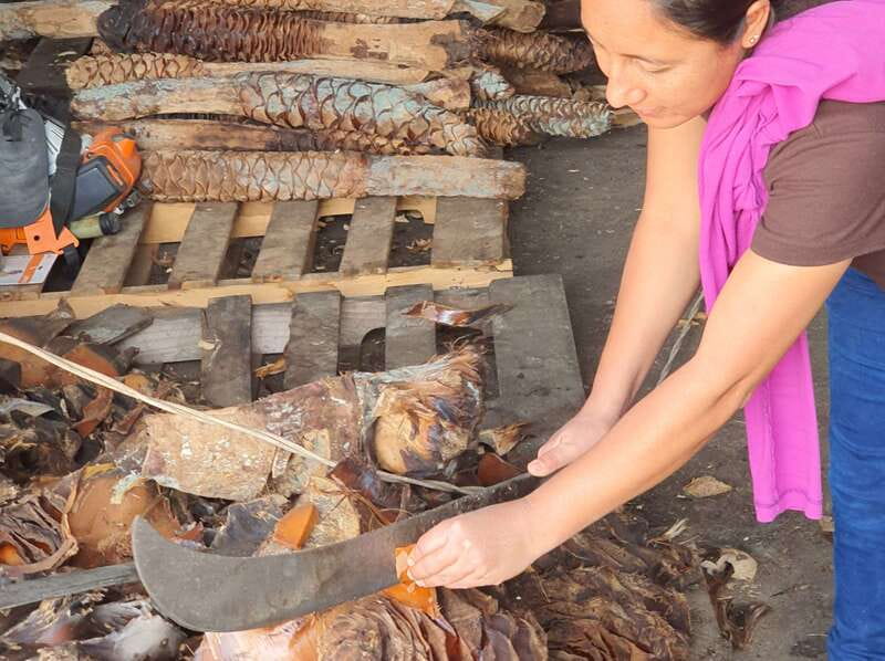 Oaxaca: Mezcal Adventure - Visiting a Rustic Family-Owned Mezcal Distillery
