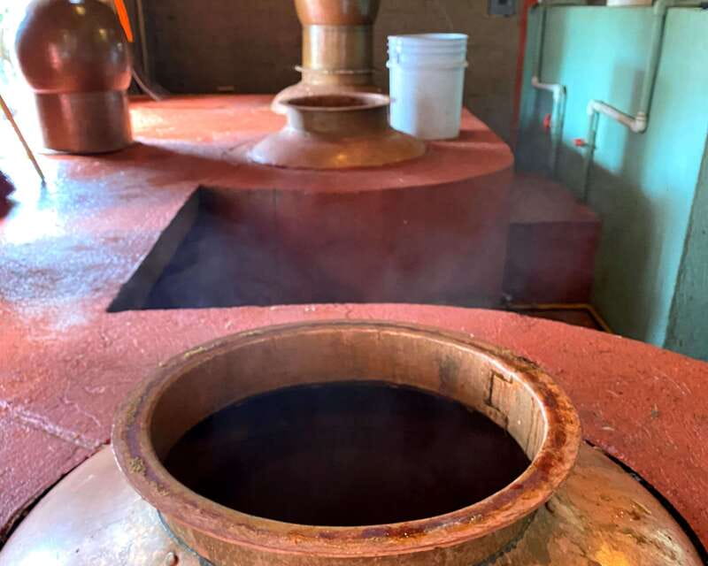 Oaxaca: Mezcal Adventure - Learning to Taste Mezcal Like an Expert