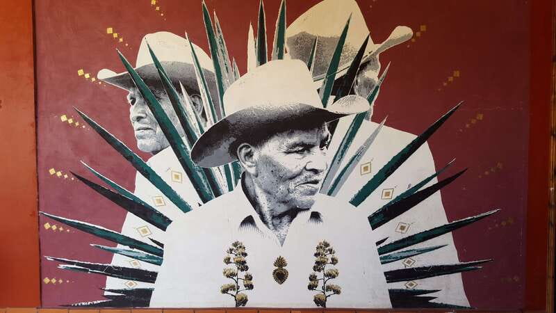 Oaxaca: Mezcal Adventure - The Role of Guides and Transportation