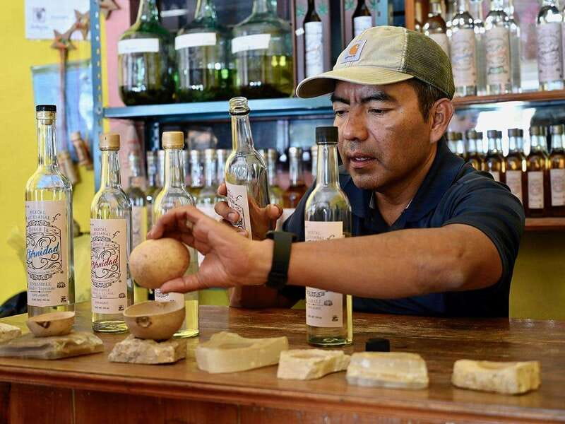 Oaxaca: Mezcal Distillery Tour with Tastings - Agave Plantations and Pulque Tasting