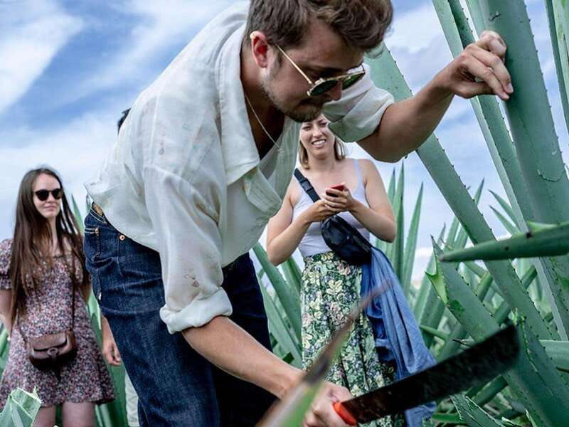 Oaxaca: Mezcal Distillery Tour with Tastings - Logistics: Meeting Point and Group Size