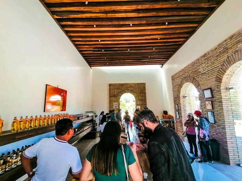 Oaxaca- Mezcal Voices - Scenic Trails and Agave Fields: Nature and Agriculture