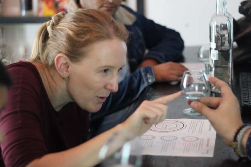 Oaxaca: Mezcaleria in the City Walking Tour - Explore Oaxaca’s Authentic Mezcal Culture for $60