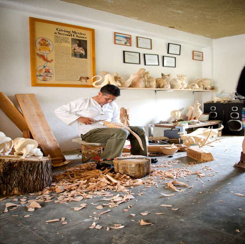 Oaxaca: Monte Alban and the Art of Oaxaca - Accessibility and Important Tips