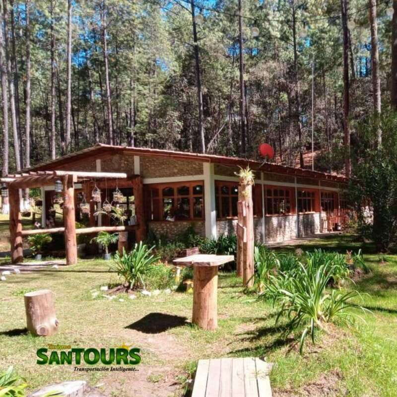 Oaxaca: Monte Albán Archaeological Tour - Exploring Monte Albán’s Ancient Ruins and Archaeological Significance