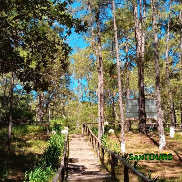 Oaxaca: Monte Albán Archaeological Tour - Logistics and Group Dynamics of the Tour