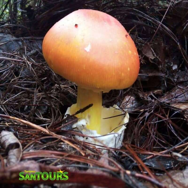 Oaxaca: Monte Albán Archaeological Tour - Value and Unique Aspects of the Tour