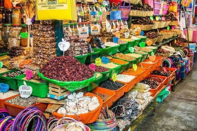 Oaxaca: Monte Alban & City of Oaxaca Private Tour - Oaxaca: Monte Albán & City of Oaxaca Private Tour – Final Thoughts