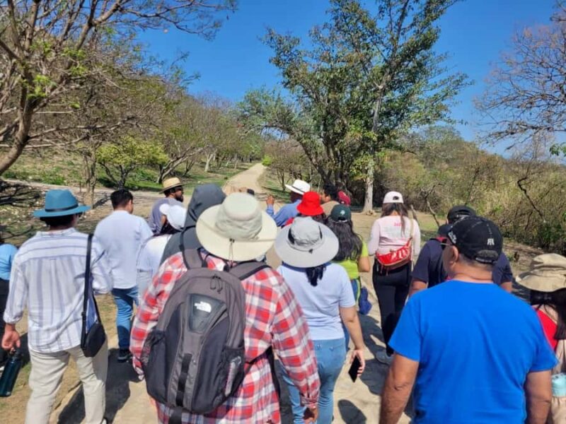 Oaxaca: Monte Albán Tour with Breakfast at Abastos Market - Return to Oaxaca’s Ethnobotanical Garden