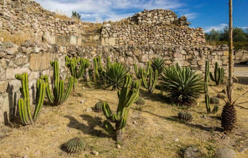 Oaxaca: Private Mitla Tour with Chocolate Tasting by Car - Logistics: Private Transport and Guided Experience
