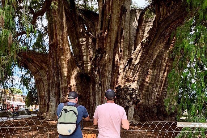 Oaxaca Private Tour 3 Days Monte Albany and Mitla and City - Exploring Mitla: The Zapotec Architectural Marvel