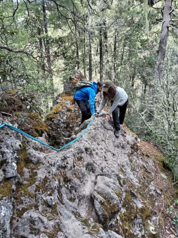 Oaxaca: Pueblos Mancomunados Hiking Tour - Who Will Enjoy the Oaxaca: Pueblos Mancomunados Hiking Tour
