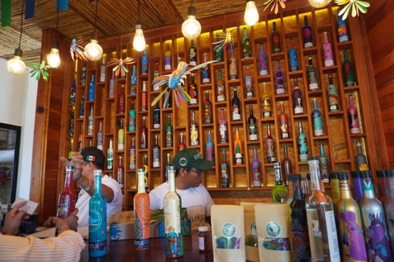 Oaxaca: Raíces Oaxaqueñas (Monte Alban) - Alebrije Carving in San Antonio Arrazola