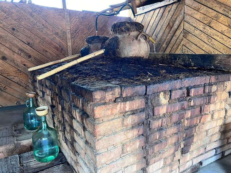 Oaxaca: Raíces Oaxaqueñas (Monte Alban) - Sampling Oaxacan Cuisine at a Food Buffet